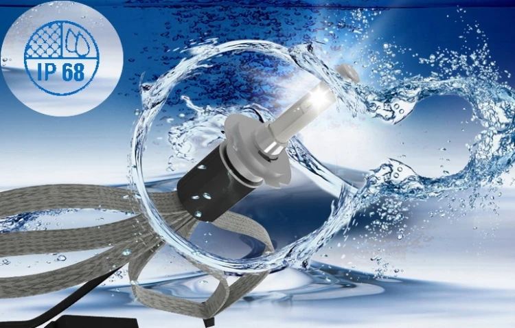 c929e19644b2bd8bc4a1c3502246