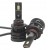 caef703547019cf4301ac9cb3917