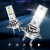 pic1.jpg